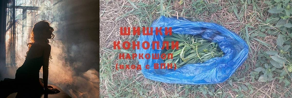 PSILOCYBIN Заволжск
