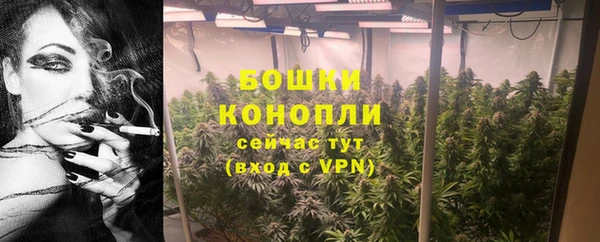PSILOCYBIN Заволжск