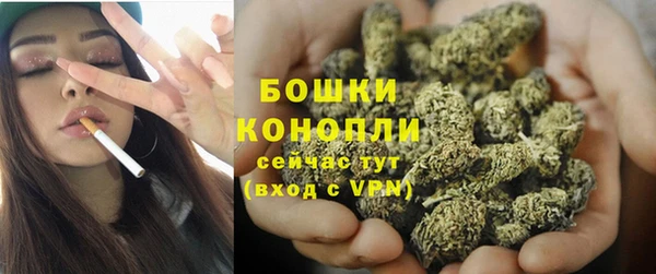 PSILOCYBIN Заволжск
